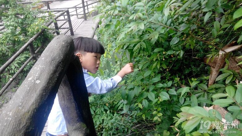 Tǰɽϵţ̡ӡ