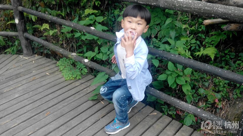 Tǰɽϵţ̡ӡ