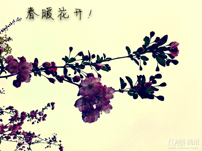 ֙Cĺݡ+һһ