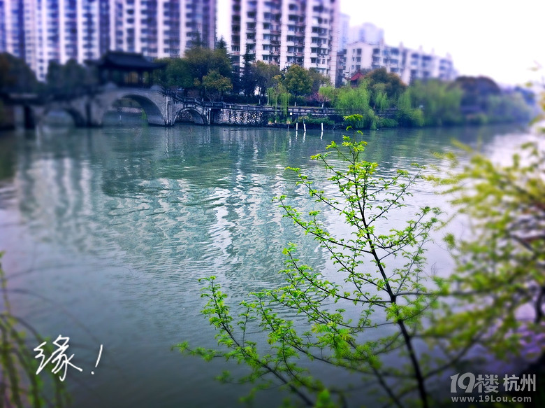 ֙Cĺݡ+һһ