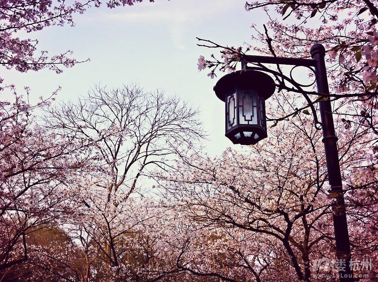 ֙Cĺݡ+һһ