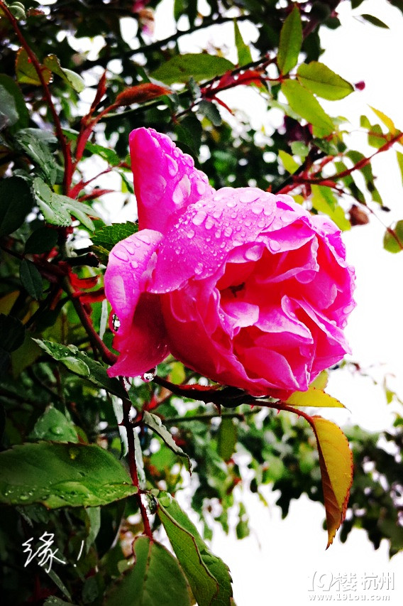 ֙Cĺݡ+һˣһ