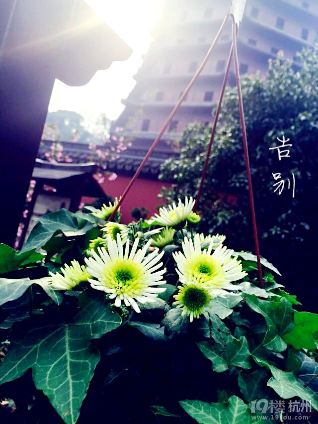 ֙Cĺݡ+һˣһ