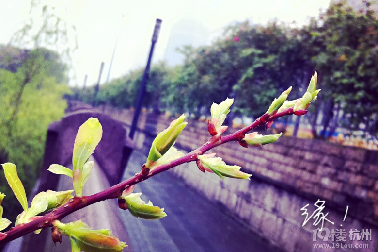 ֙Cĺݡ+һһ