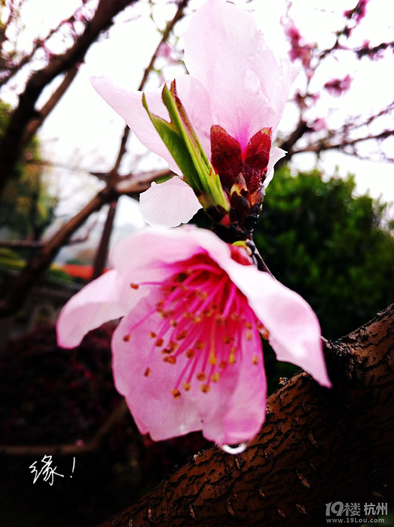 ֙Cĺݡ+һһ