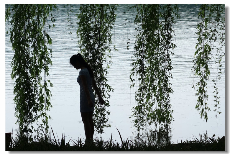 西湖山水甲天下-风景照-19摄区-杭州19楼