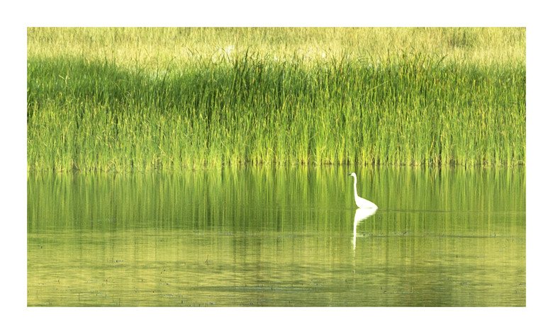 ᲴvU(xin)ӛ֮B(ti)ƪ