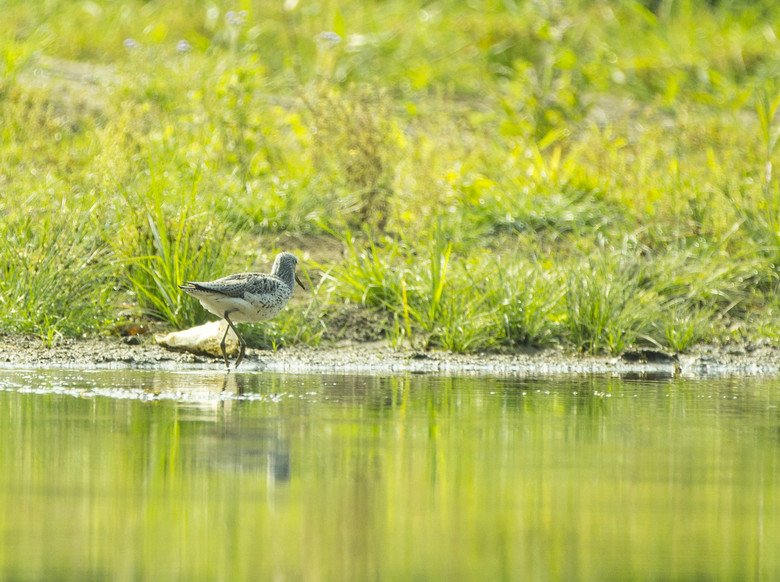 ᲴvU(xin)ӛ֮B(ti)ƪ