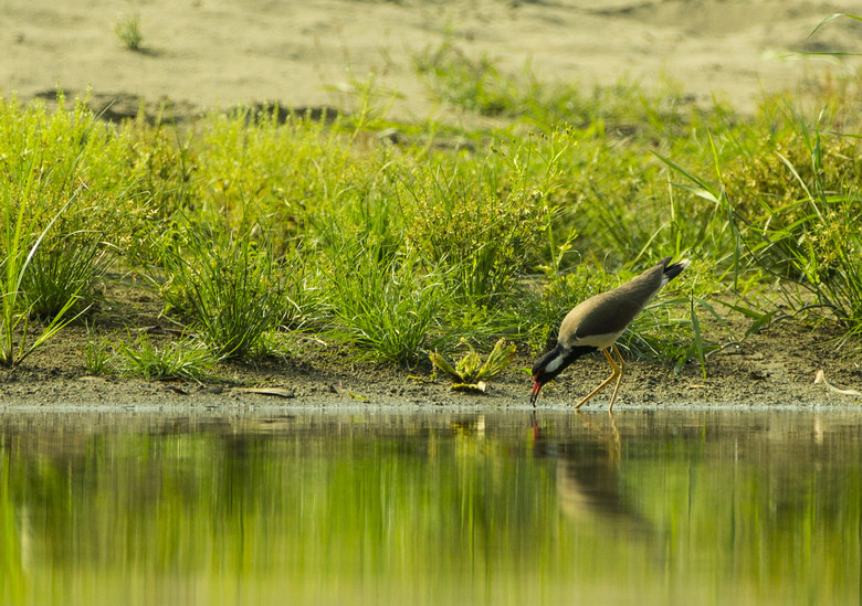 ᲴvU(xin)ӛ֮B(ti)ƪ