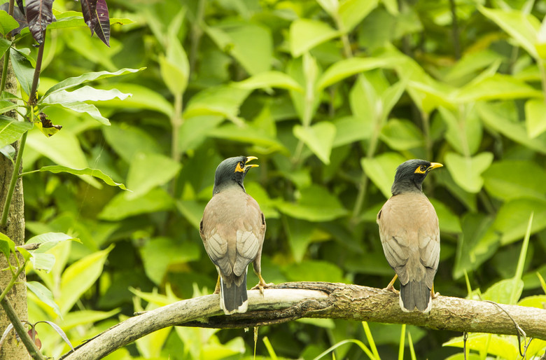 ᲴvU(xin)ӛ֮B(ti)ƪ