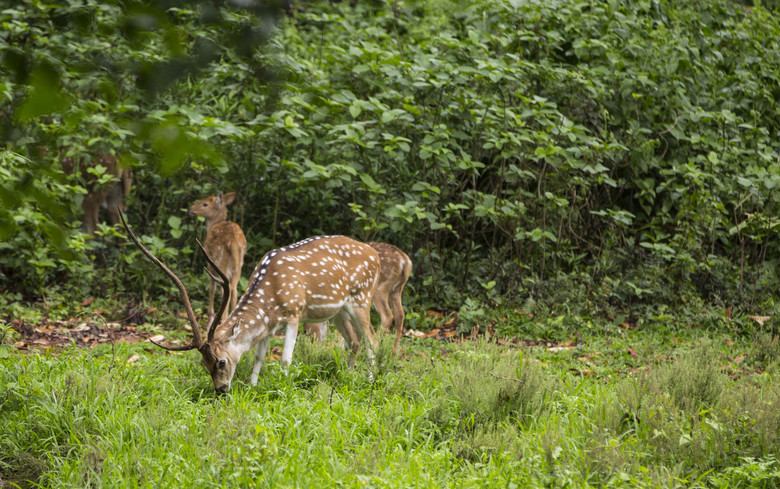 ᲴvU(xin)ӛ֮B(ti)ƪ