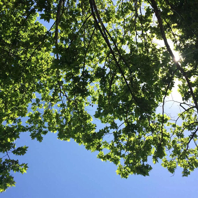 有蓝天,有白云,如此甚好。