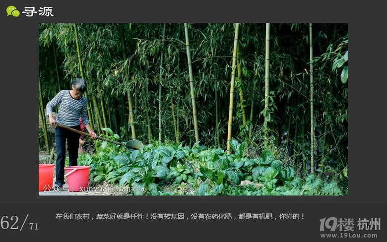 尋源之旅~帶你感受什么叫做任性
