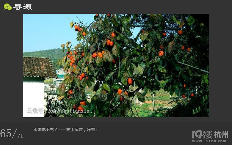 尋源之旅~帶你感受什么叫做任性