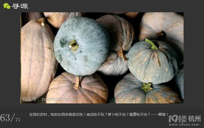 尋源之旅~帶你感受什么叫做任性