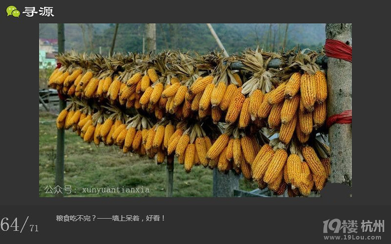 尋源之旅~帶你感受什么叫做任性