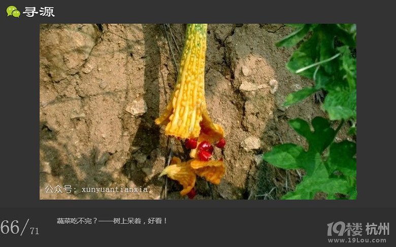 尋源之旅~帶你感受什么叫做任性