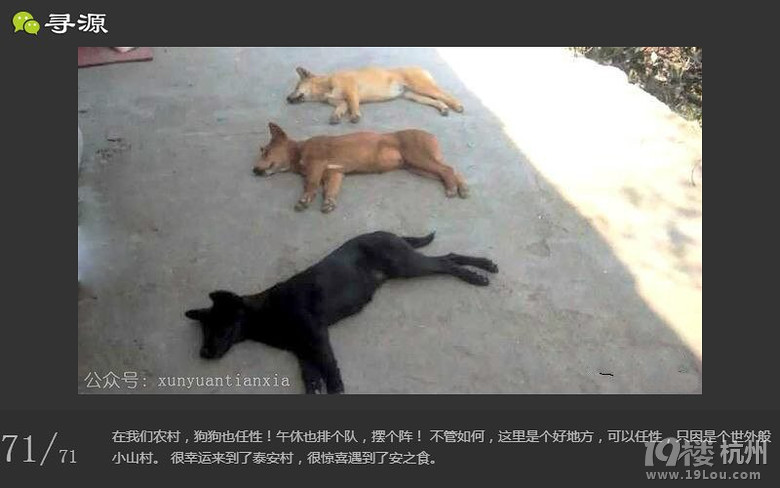 尋源之旅~帶你感受什么叫做任性