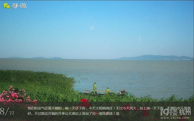 尋源之旅@又是一季枇杷到，我在蘇州東山，不是塘西哦~