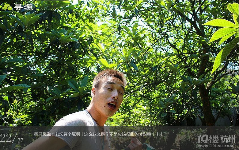 尋源之旅@又是一季枇杷到，我在蘇州東山，不是塘西哦~