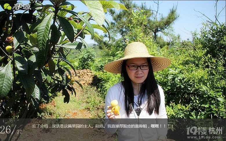 尋源之旅@又是一季枇杷到，我在蘇州東山，不是塘西哦~