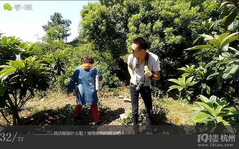 尋源之旅@又是一季枇杷到，我在蘇州東山，不是塘西哦~