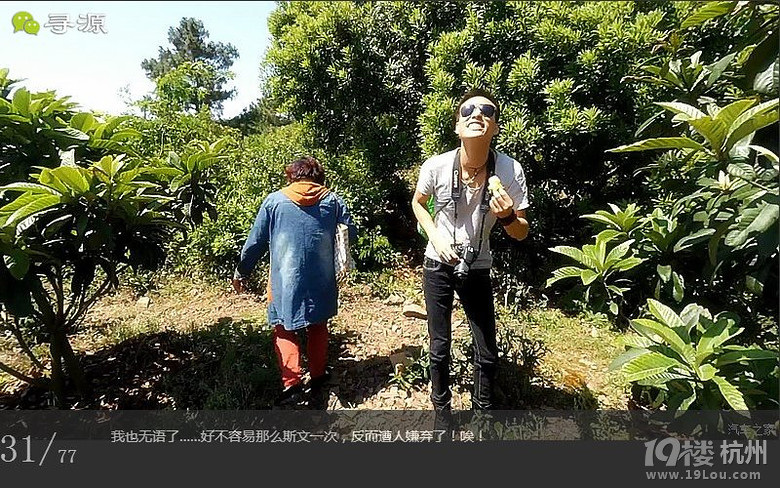 尋源之旅@又是一季枇杷到，我在蘇州東山，不是塘西哦~