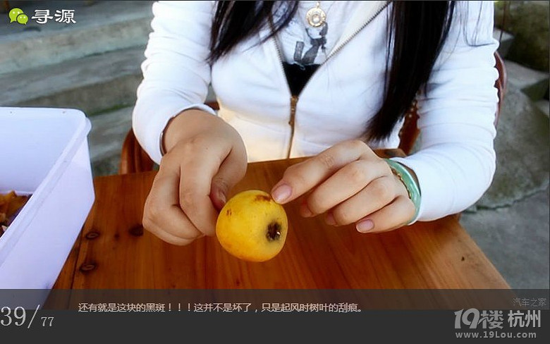 尋源之旅@又是一季枇杷到，我在蘇州東山，不是塘西哦~