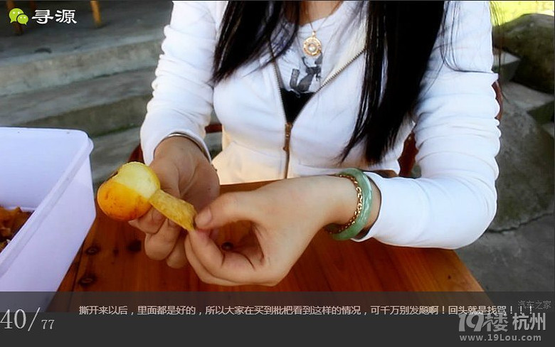尋源之旅@又是一季枇杷到，我在蘇州東山，不是塘西哦~