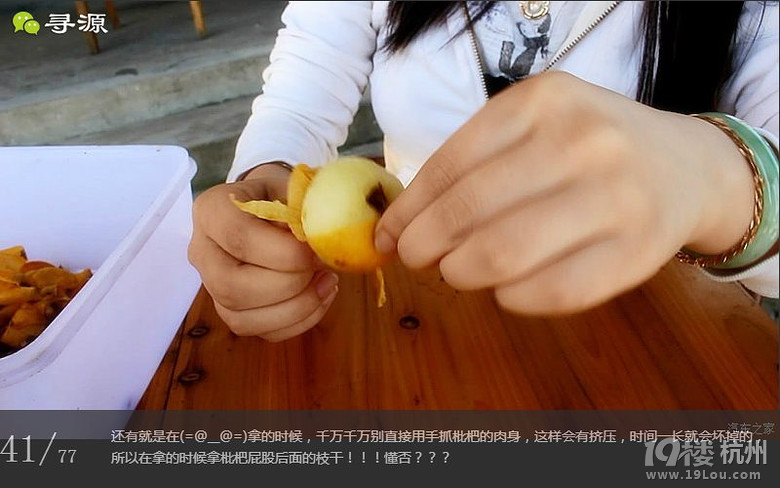 尋源之旅@又是一季枇杷到，我在蘇州東山，不是塘西哦~