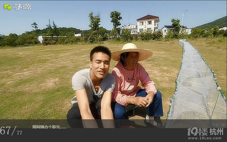尋源之旅@又是一季枇杷到，我在蘇州東山，不是塘西哦~