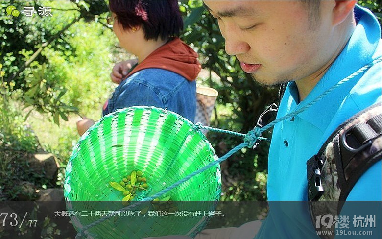 尋源之旅@又是一季枇杷到，我在蘇州東山，不是塘西哦~
