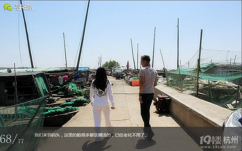 尋源之旅@又是一季枇杷到，我在蘇州東山，不是塘西哦~