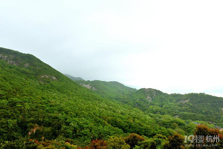 五·一舟山桃花岛2--桃花峪 -播报-旅游先遣队