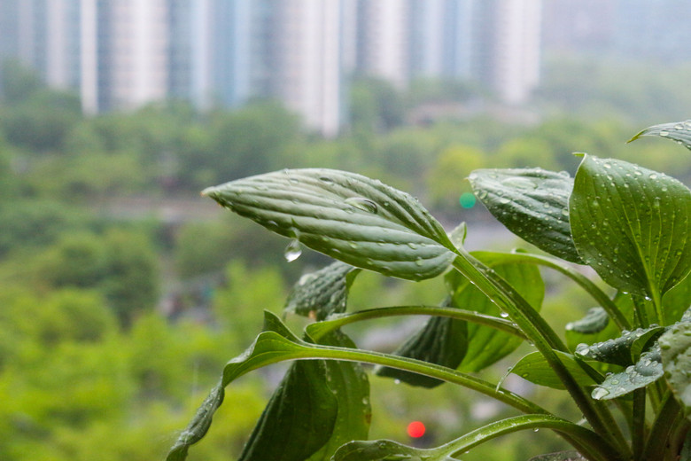 雨过天晴-风景照-19摄区-杭州19楼