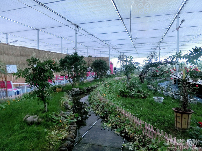 ˹õ@֮
