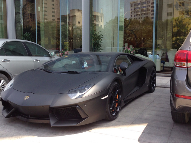 动物真贵-手机随手拍-杭州19楼