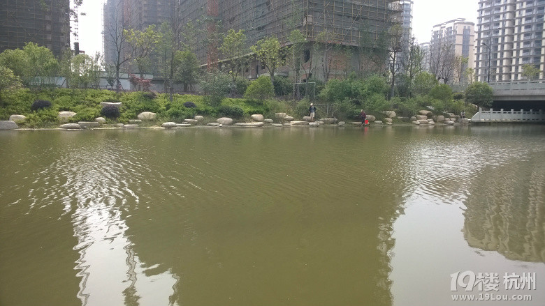 继续钓河虾-放飞心情-钓鱼俱乐部-杭州19楼