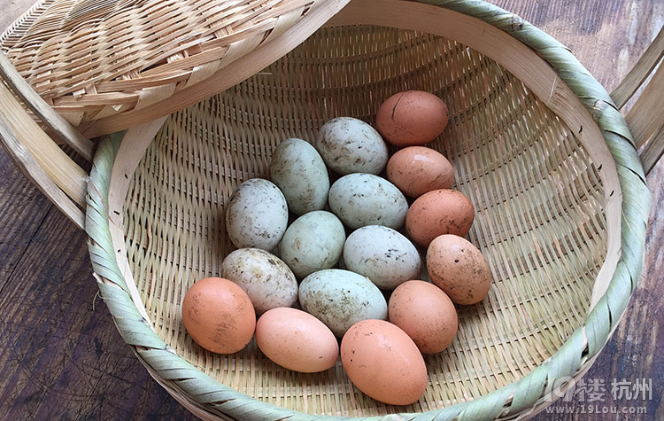教你怎样识别土鸡蛋