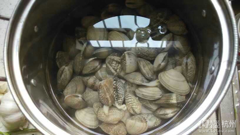 【海鲜季】+简单方法吃最干净的花甲-活动-19