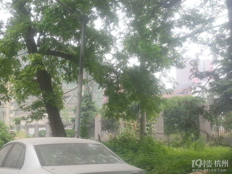 无法接近的杭高钱江校区-中学教育-杭州19楼