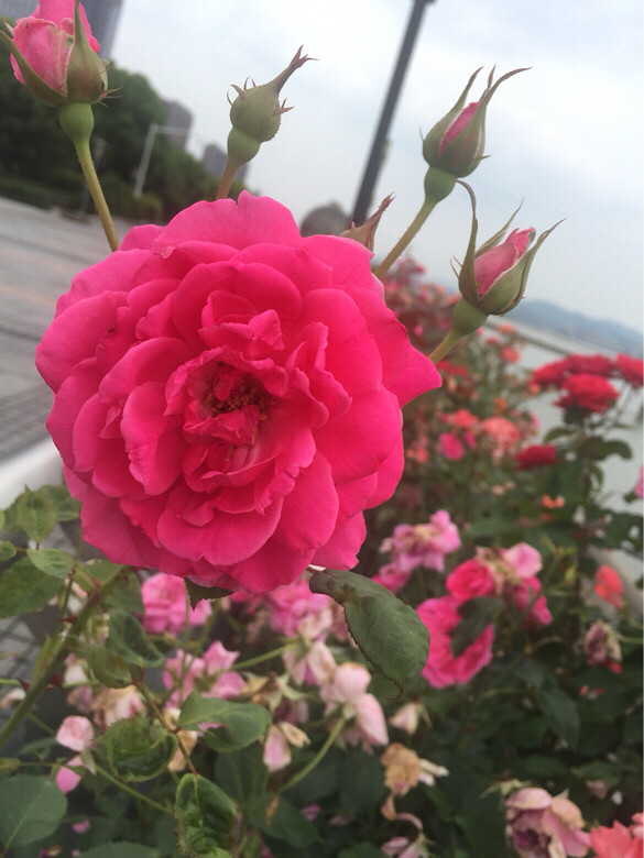 我做了那么多改变,只为了心中不变…等待着-爱