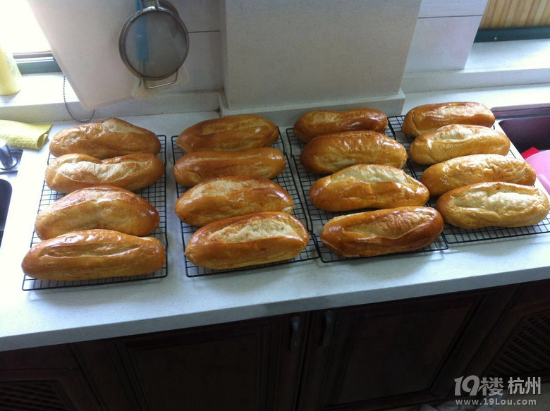 벻ĽoQһӹ߲һӵʳ