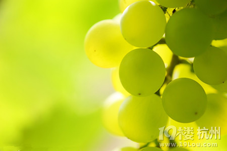 产妇可以吃什么水果?吃对更健康!-分娩(产前产