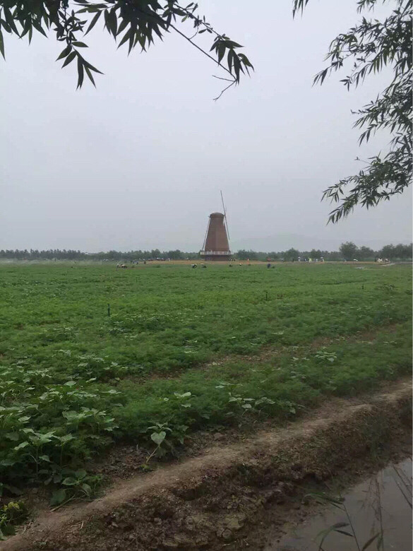 上个月的车队小型玉环活动,坐等下-手机随手拍