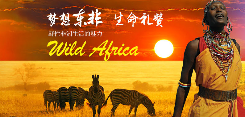 旅2015最美夏一站--暑期出境游专场:中东非板