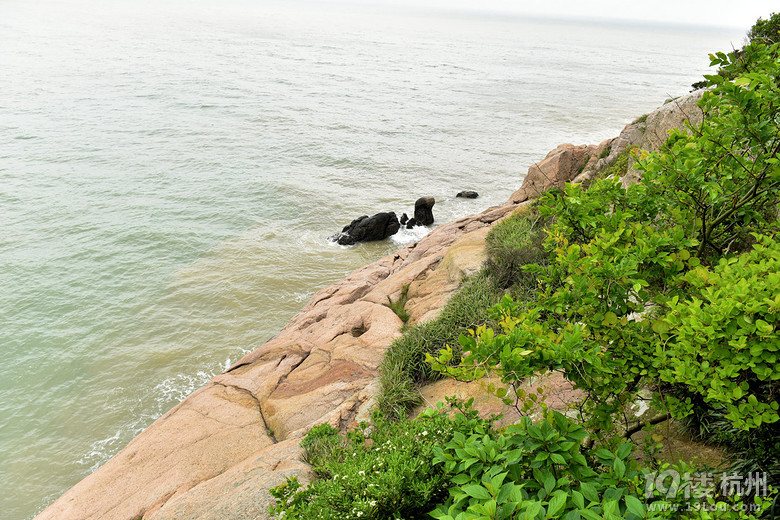五·一舟山桃花岛5--海龟巡岸 -播报-旅游先遣