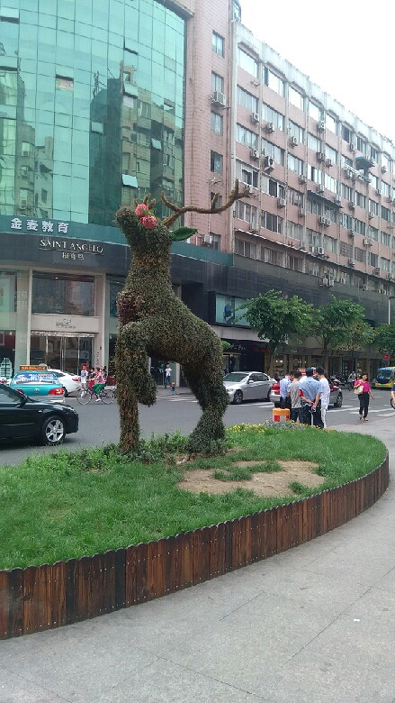 温州五马街,温州最繁华的商业街。-手机随手拍