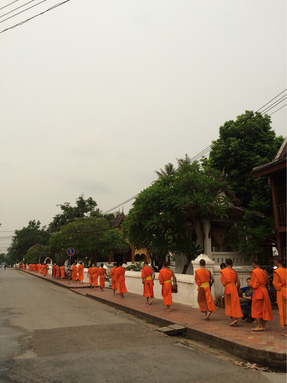 morning alms of luang prabang.