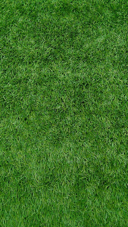 招聘!杭州市足球协会为了响应国家对足球运